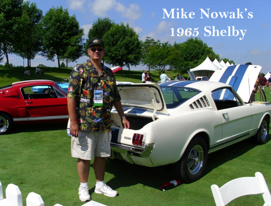 Mike Nowak's 65 Shelby